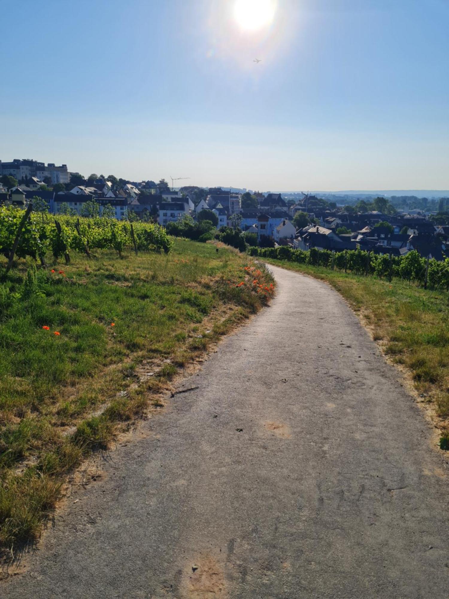 Ferienwohnungen Am Markt Rüdesheim am Rhein Exteriér fotografie