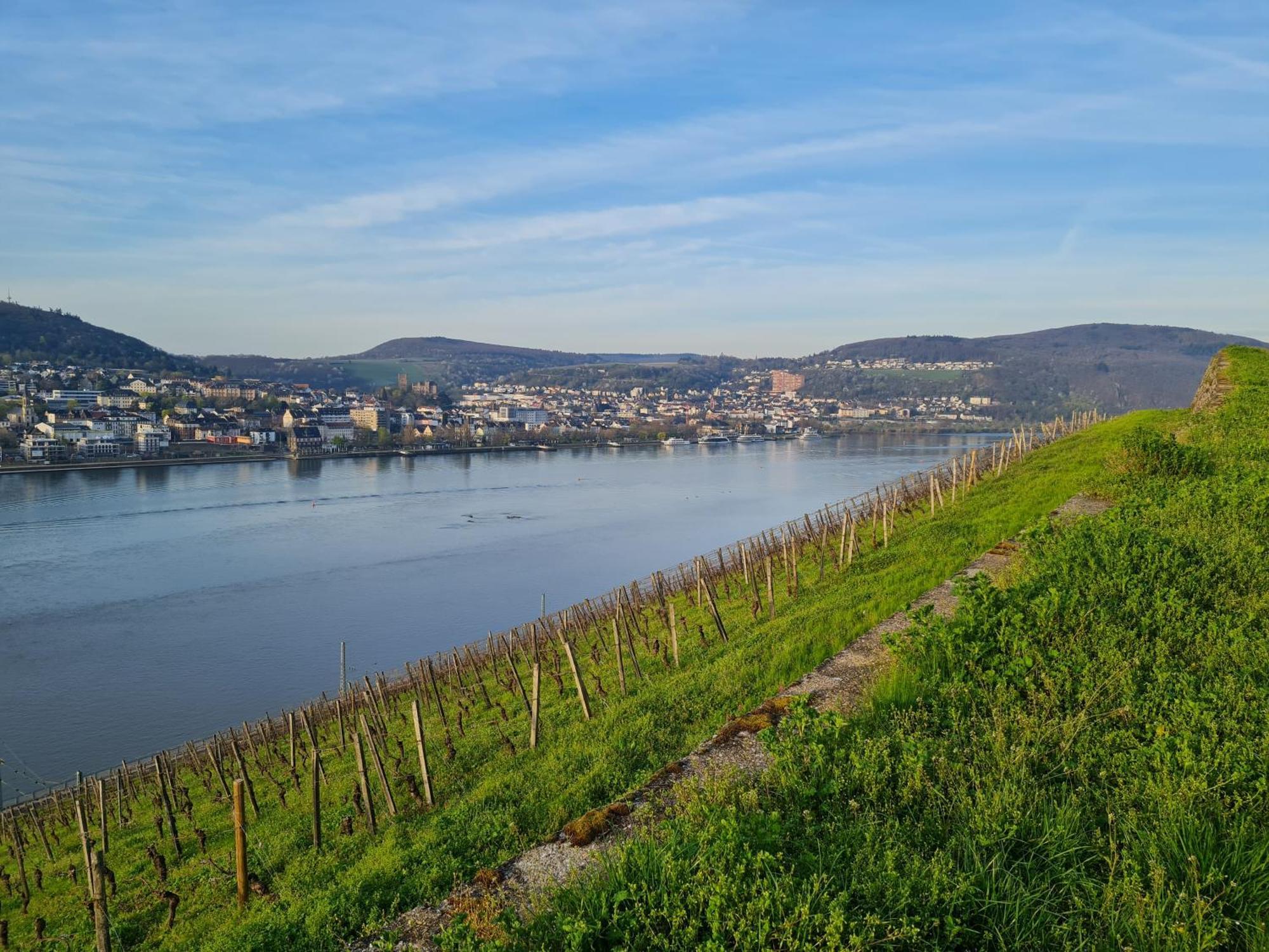 Ferienwohnungen Am Markt Rüdesheim am Rhein Exteriér fotografie